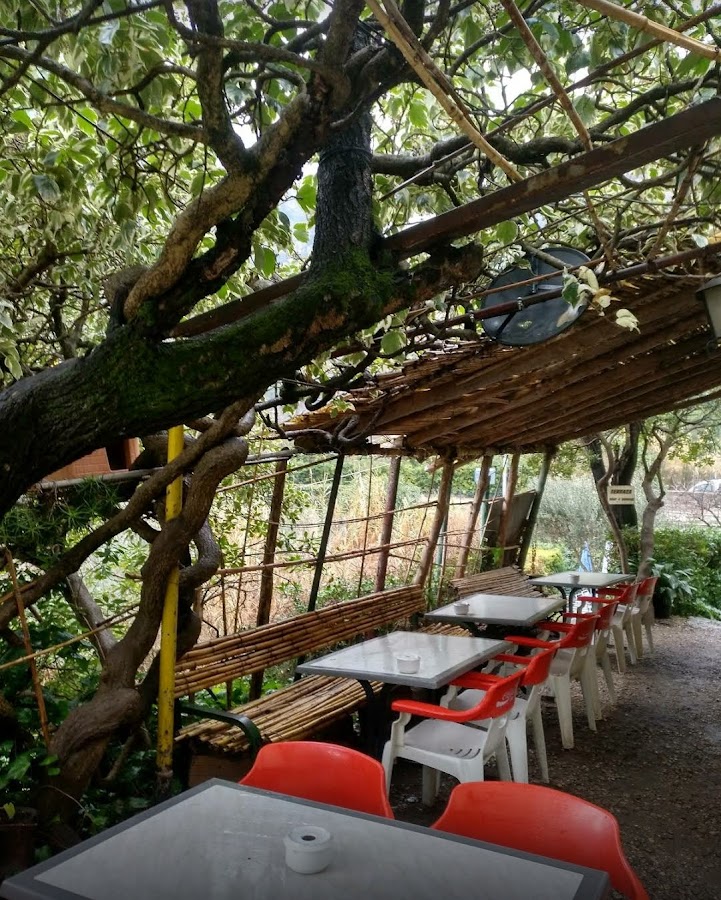 Bar el Rincón