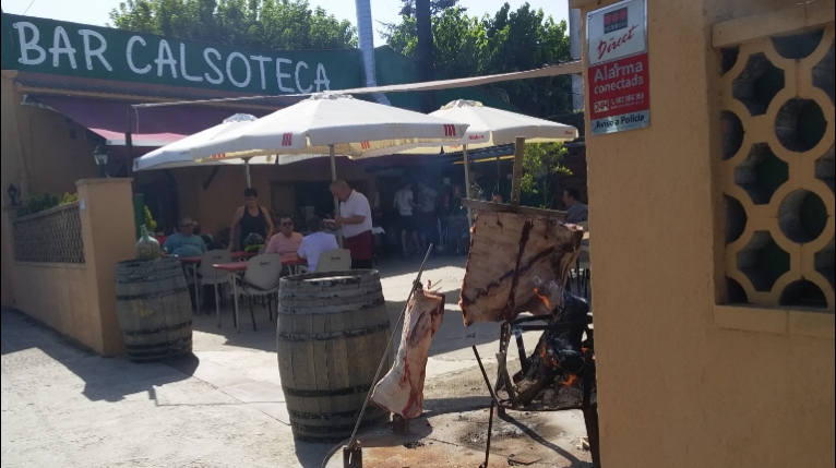 Calsoteca