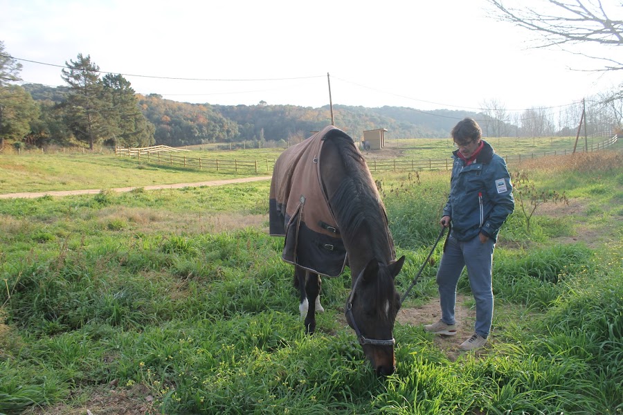 Can Mates (Mas de Vallalta)