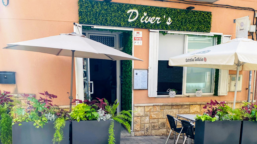 Diver